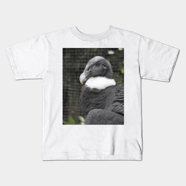 Andean Condor Kids T-Shirt by kirstybush